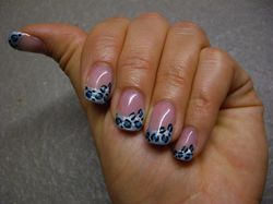 leopard bleu.JPG
